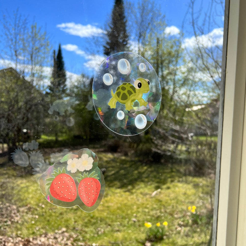 Kalle-kilpikonna aurinkosieppari
