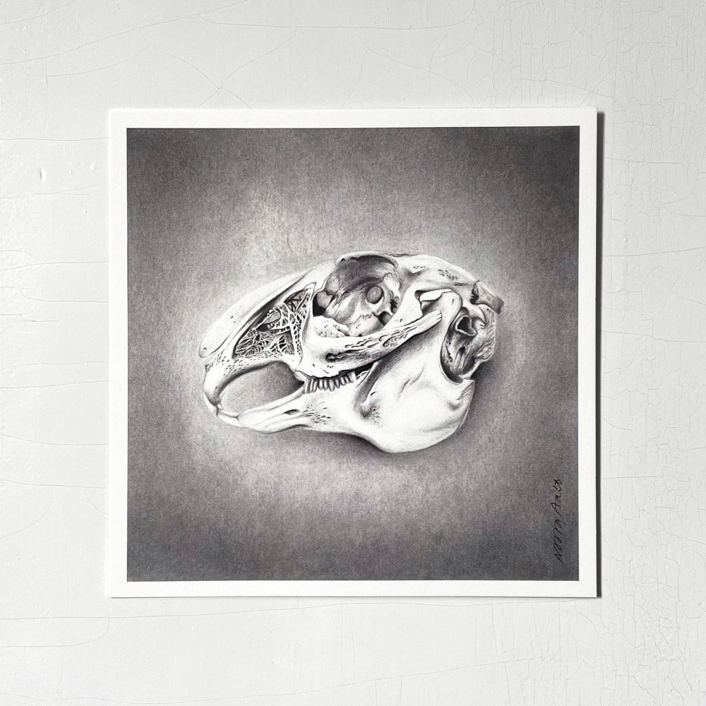 Noora Aalto Art postikortti Drop and Wavessa