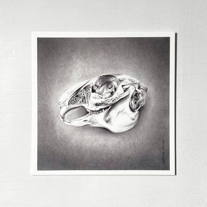 Noora Aalto Art postikortti Drop and Wavessa