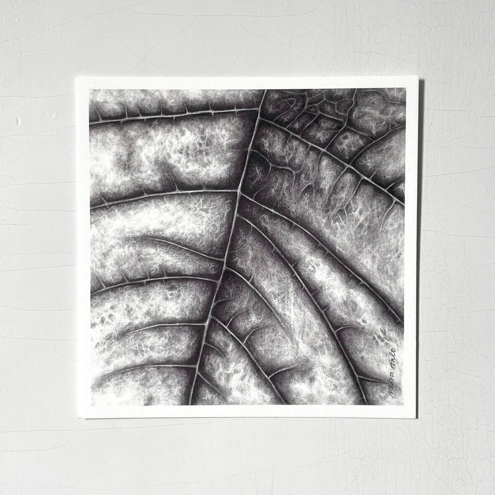 Noora Aalto Art postikortti Drop and Wavessa