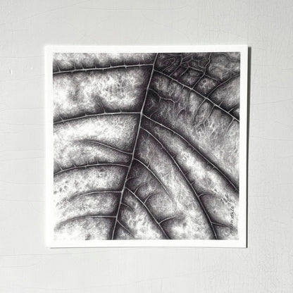 Noora Aalto Art postikortti Drop and Wavessa